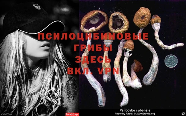 бошки Алексеевка