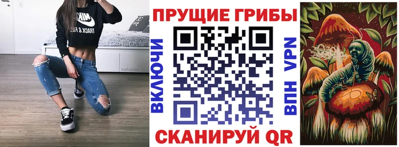 hydra tor  Гаджиево  Галлюциногенные грибы Magic Shrooms 
